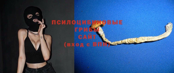 спиды Семёнов