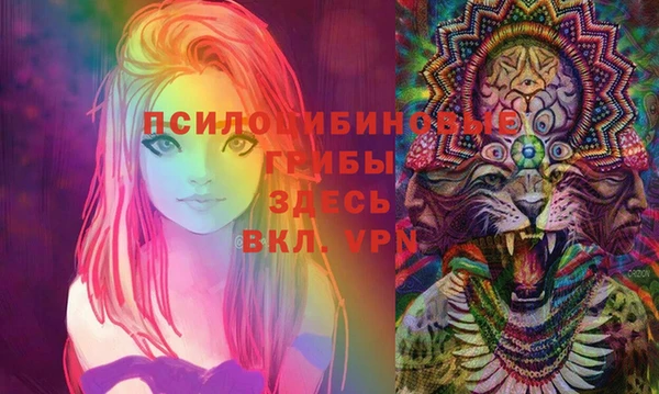 прущие грибы Алексин