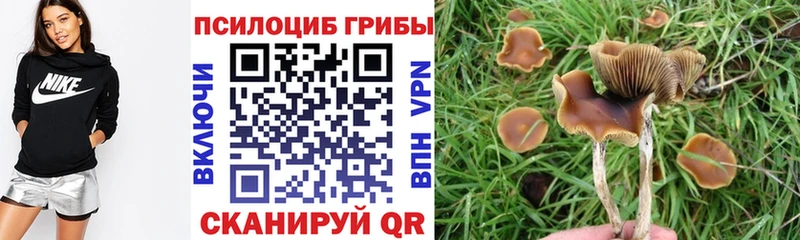 купить наркотики сайты  Бикин  Галлюциногенные грибы Magic Shrooms 